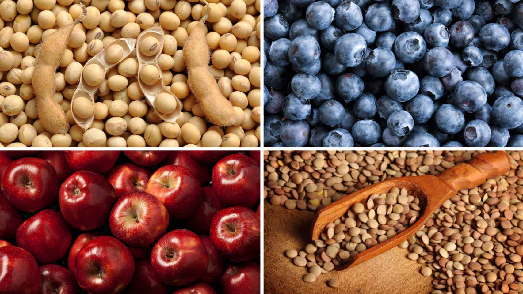Entre los alimentos destacados podemos encontrar las manzanas, los arándanos, lentejas y la soja.