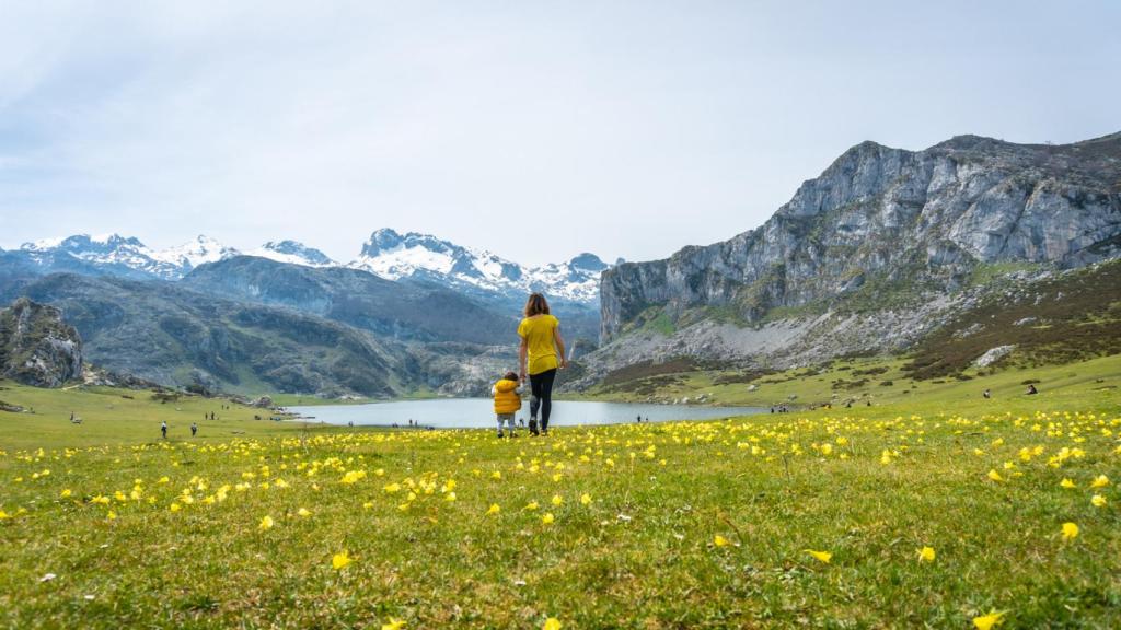 Esto es lo que se cobra en el municipio más pobre de Asturias: no alcanzan los 745 euros mensuales