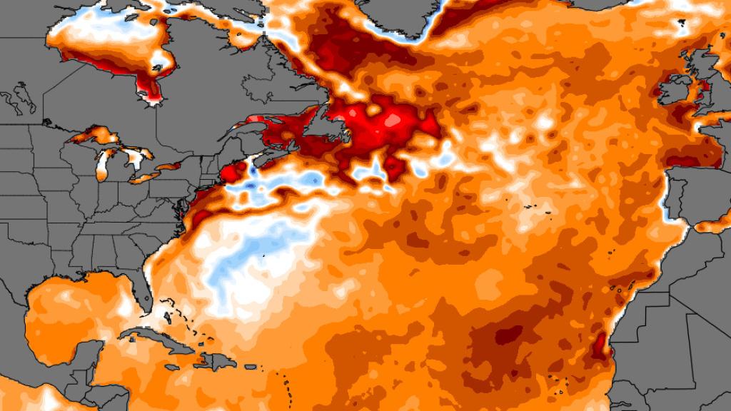 Mapa de temperaturas del Atlántico el pasado 8 de septiembre.
