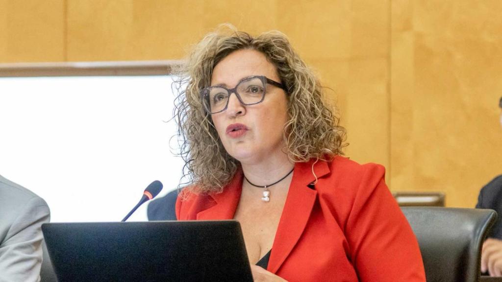 La portavoz del PP de Benidorm, Lourdes Caselles.