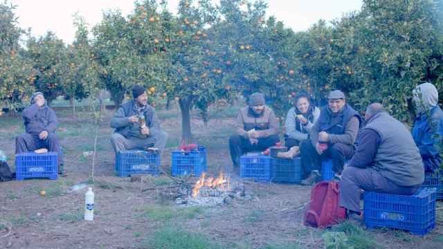 Una escena de la comedia documental 'Domingo Domingo' sobre el negocio de las naranjas.