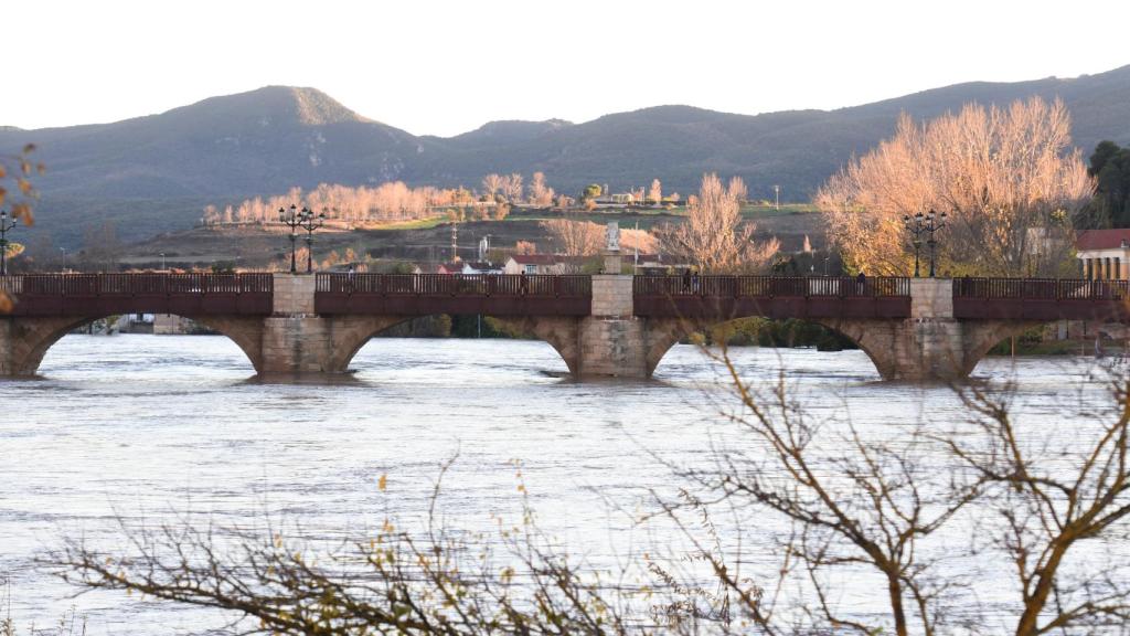 Crecida del río Ebro a su paso por la localidad burgalesa de Miranda de Ebro en una imagen de 2021