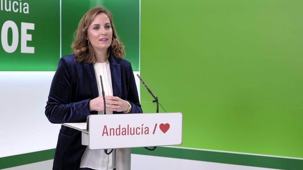 Elena Ruiz, exdirectora del Instituto Andaluz de la Mujer