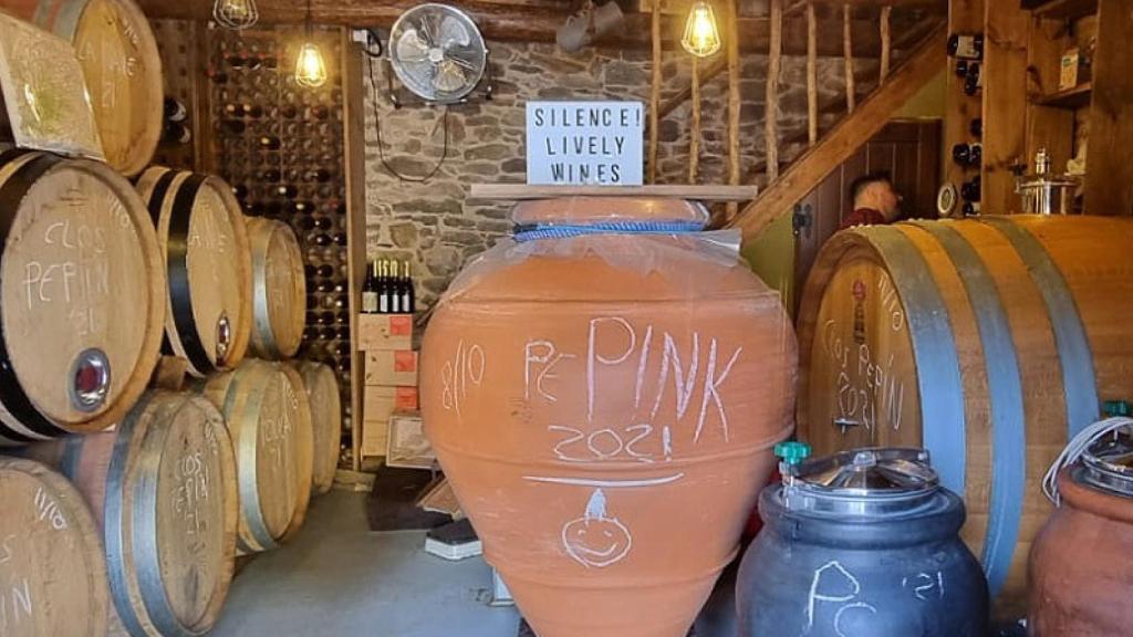 Bodega Casa Aurora en el Bierzo