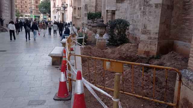 Las obras de retirada del arbolado en el exterior de la Catedral de Valencia. EE