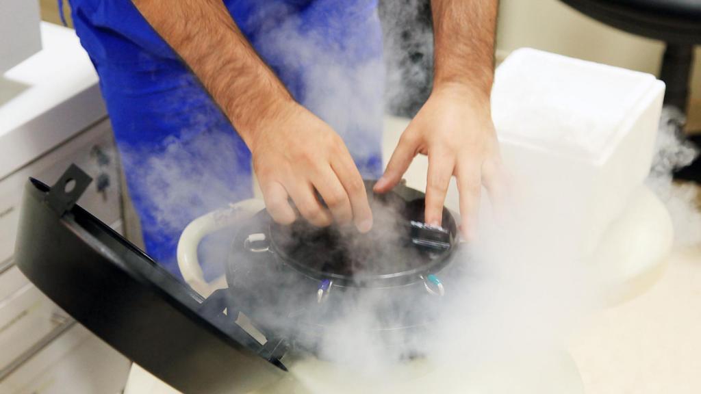 Los gametos han de haber sido criopreservados antes de la muerte de la persona.