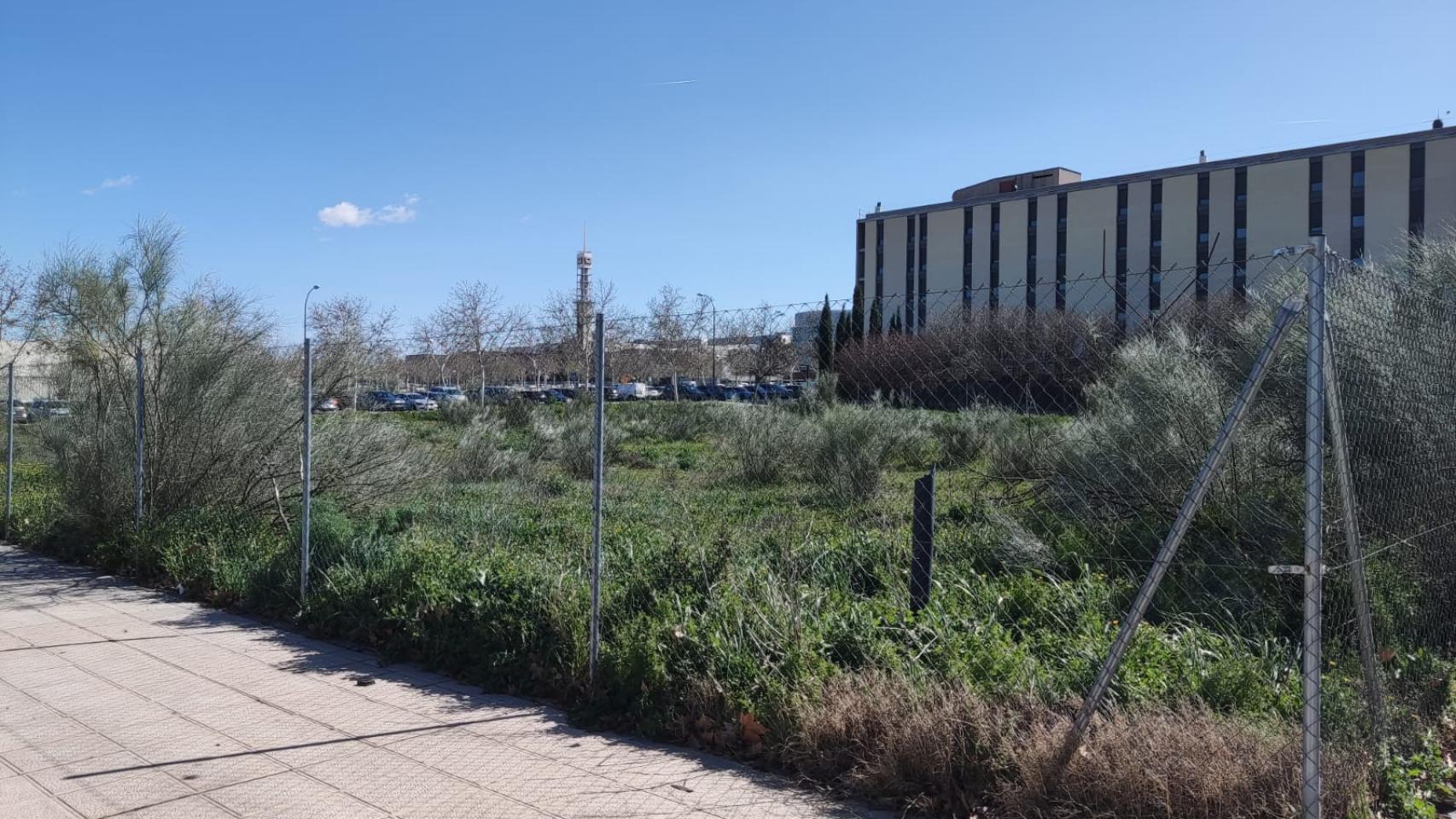 El terreno donde se construirán las nuevas viviendas.