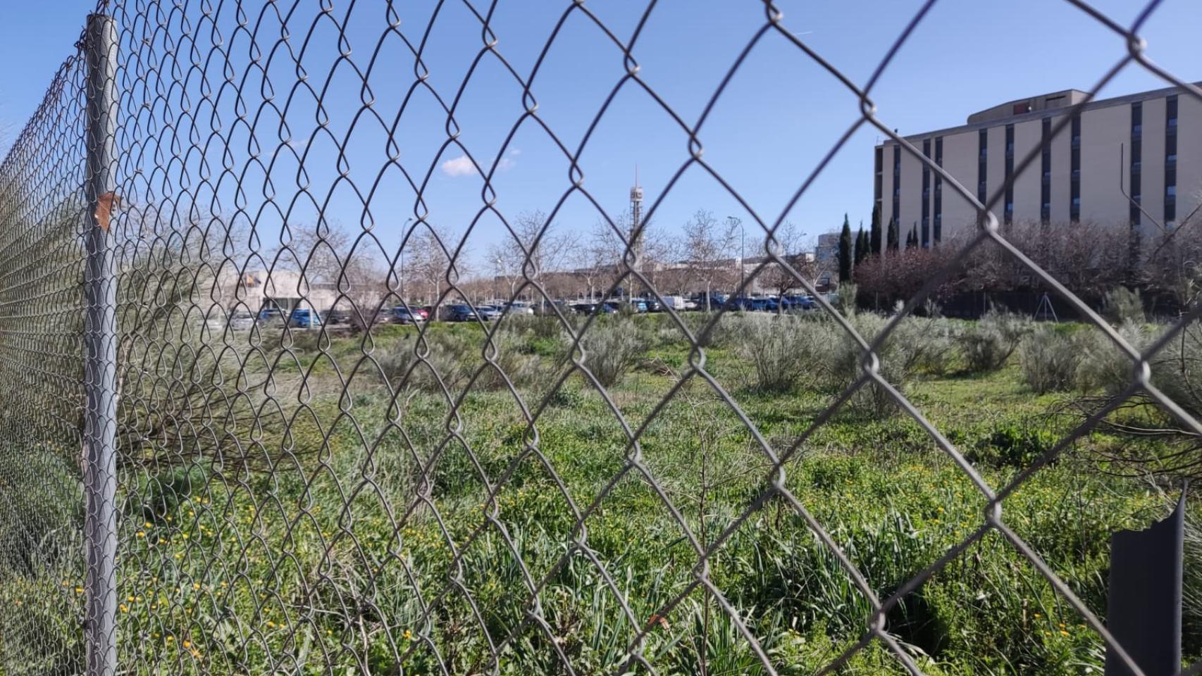 El terreno donde se construirán las nuevas viviendas.