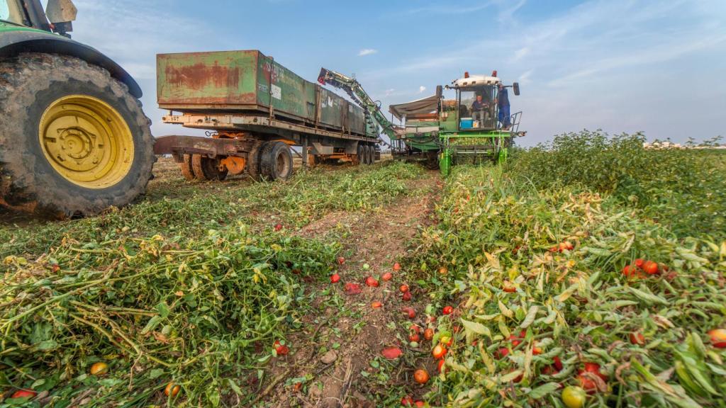Agricultores, en una imagen de archivo.