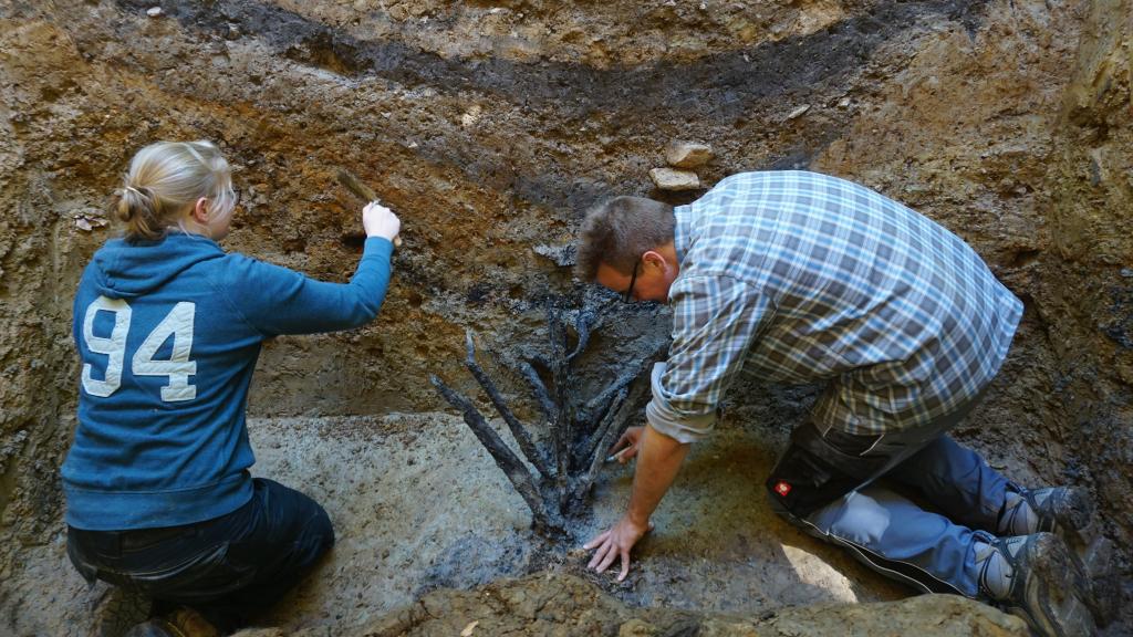 Imagen de las 'pila fossata' descubiertas