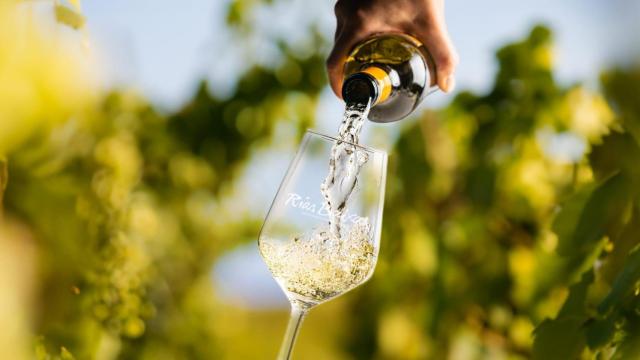 Buen posicionamiento de los vinos gallegos de Rías Baixas en el mercado nacional e internacional