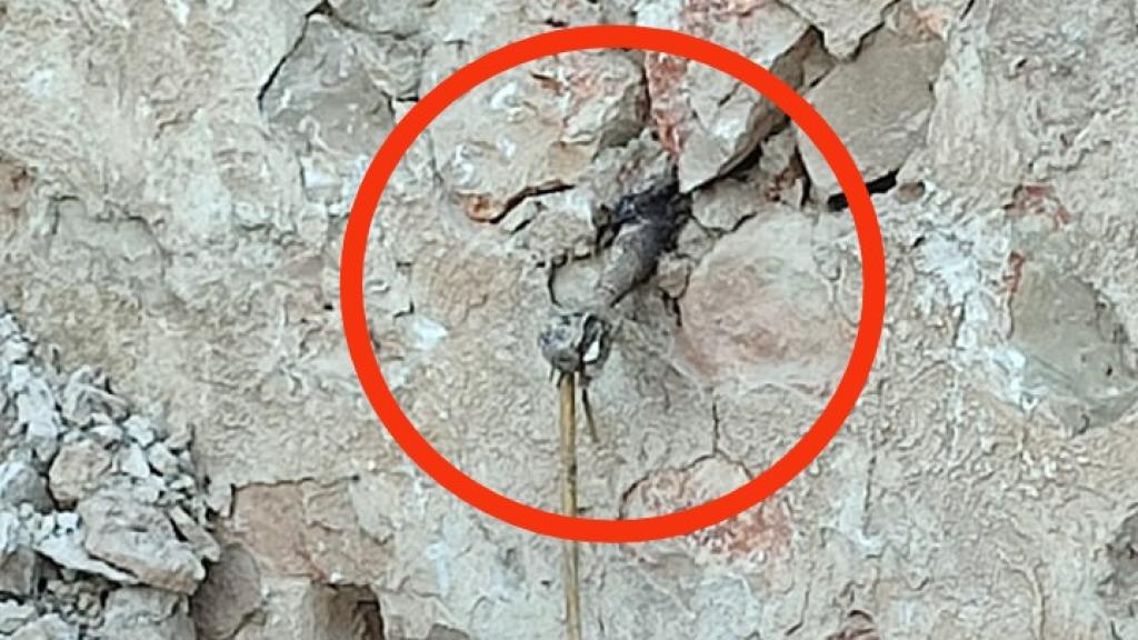 Proyectil de la Guerra Civil encontrado. Foto: Guardia Civil.