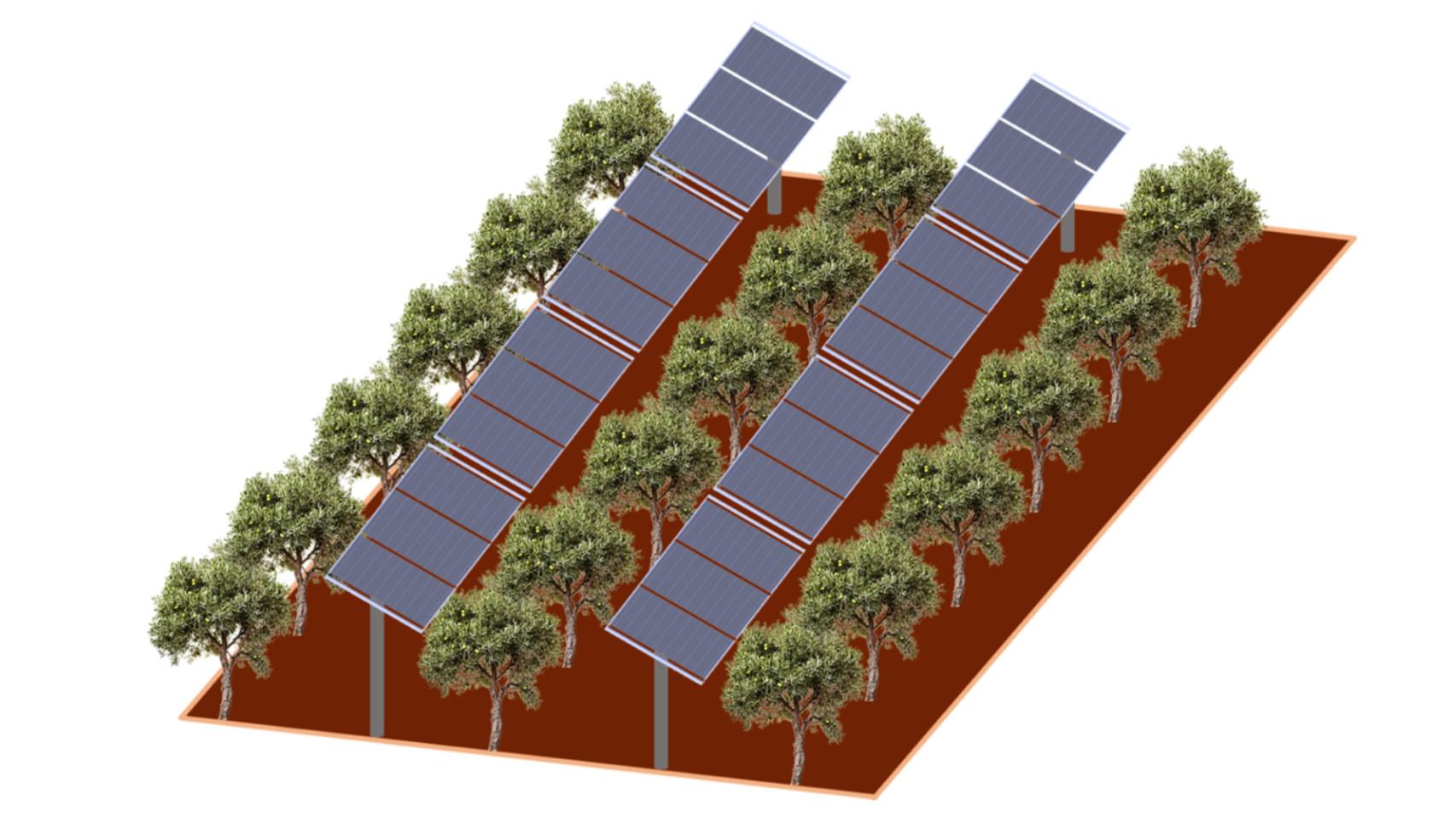 Cultivos con la energía fotovoltaica.