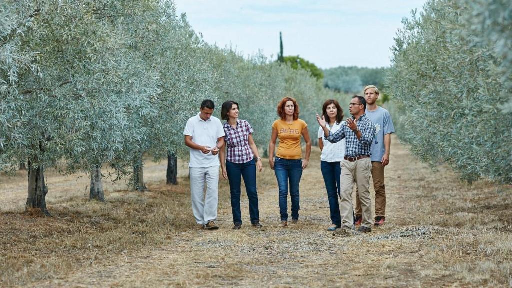 Una de las visitas guiadas al olivar de Monterosa.