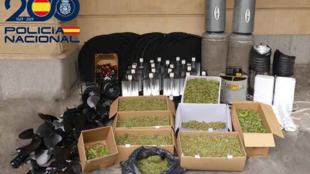 Desmantelada una plantación 'indoor' de marihuana en Salamanca con tres detenidos