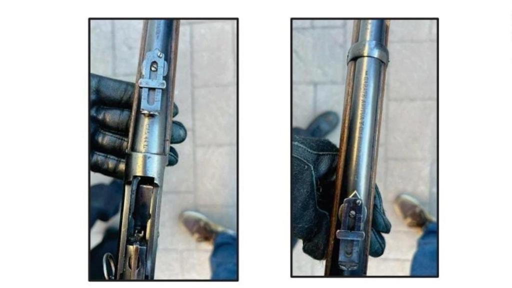 Tiger encontrada en un domicilio de Víctor de Aldama