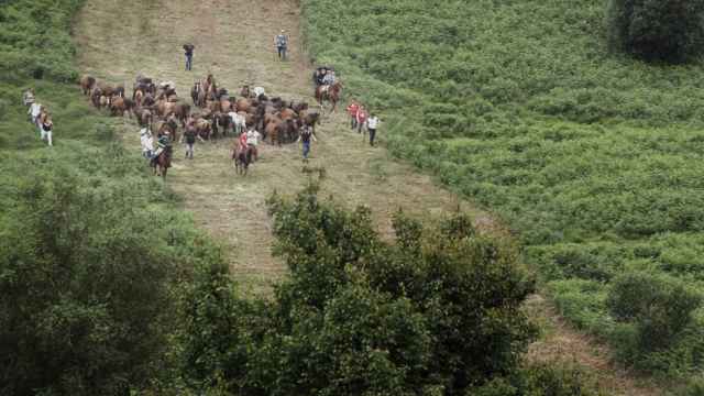 Fotograma del documental ‘Rapa’.