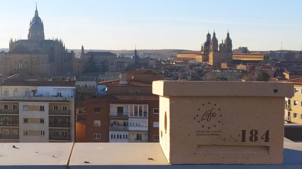 Uno de los nidos instalados en Salamanca