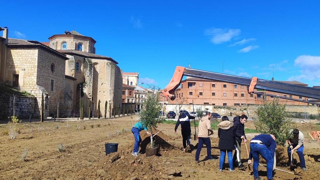 La hermandad de La Oración del Huerto planta doce olivos