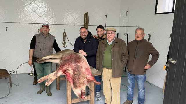 Judías y barbacoa gratis en la fiesta de la matanza del cerdo en un pueblo de Toledo