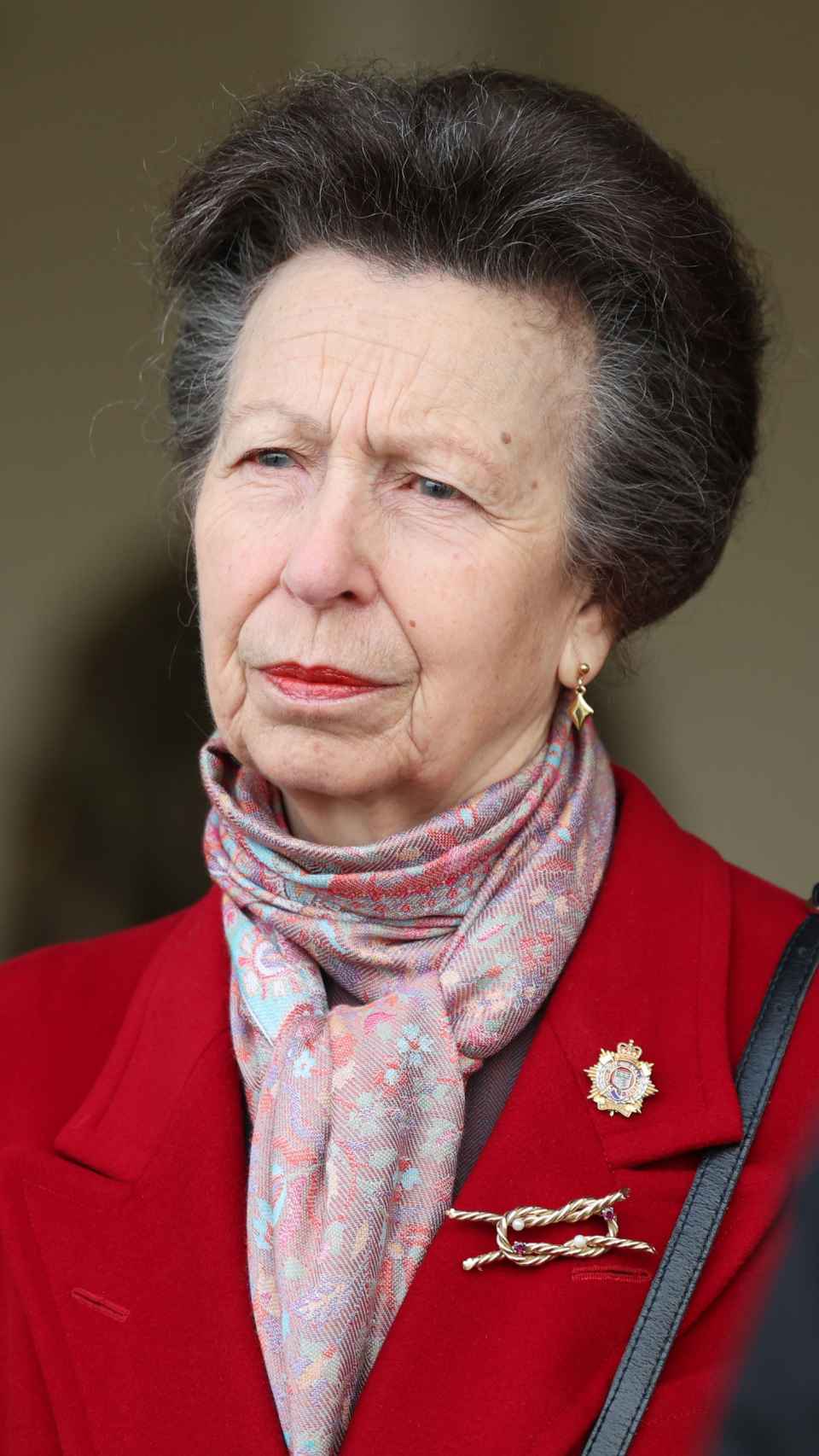 La princesa Ana en un acto institucional, el pasado 7 de febrero, en Gran Bretaña.
