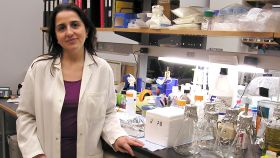 Eva Hernando Monge, profesora en la Universidad de Nueva York y directora de laboratorio del departamento de patología asociado al NYU Cancer Institute