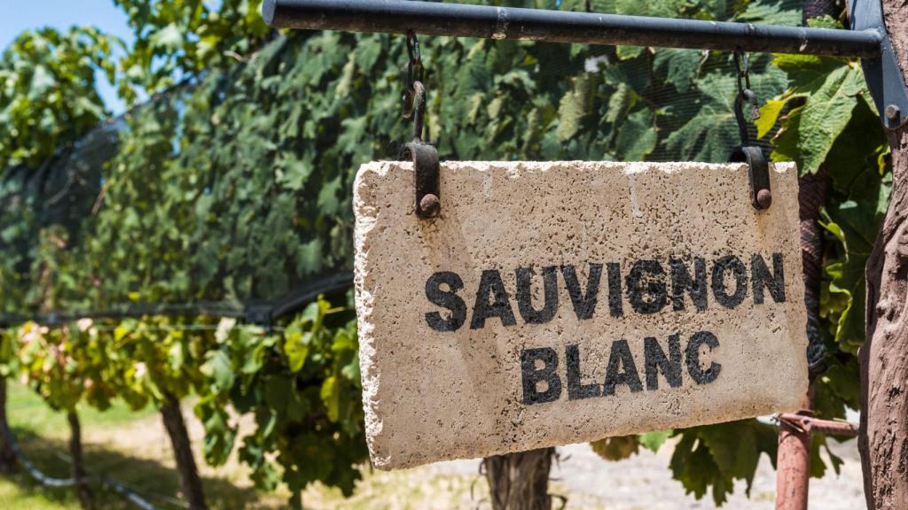 En Rueda no sólo hay verdejo