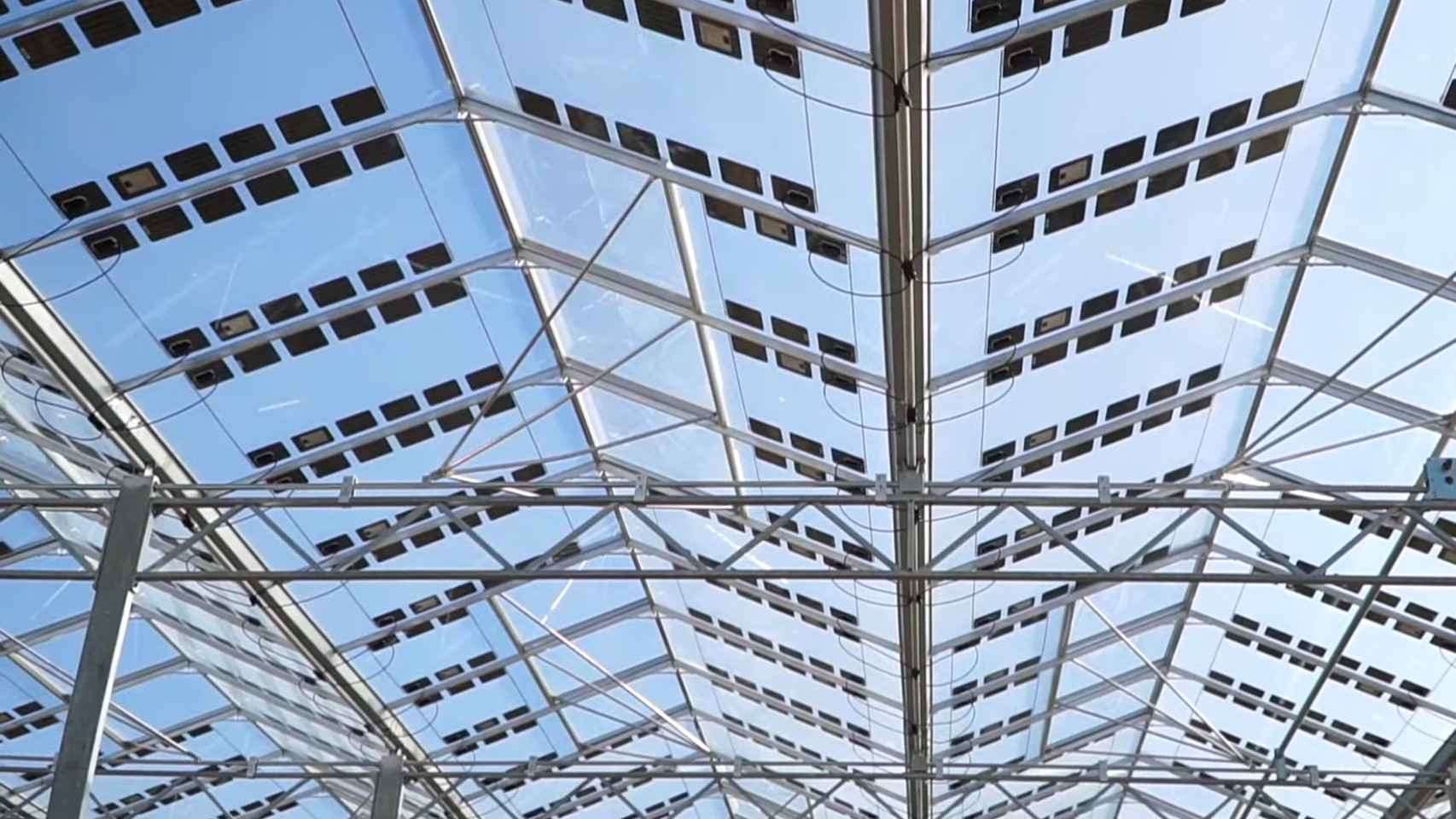 Los paneles solares Brite Solar cubriendo un invernadero.