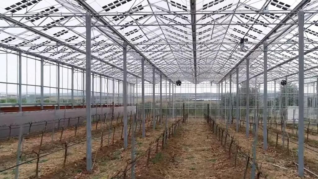 Un invernadero cubierto con los paneles solares Brite Solar.