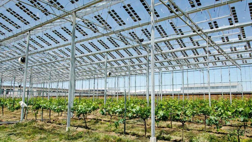 Un invernadero cubierto con los paneles solares Brite Solar.