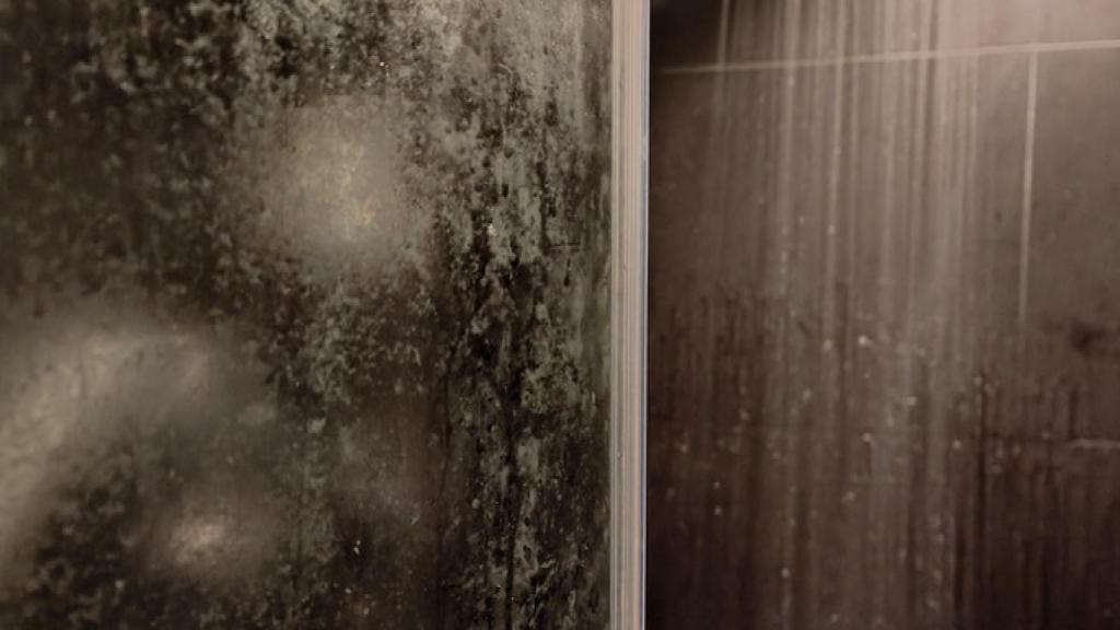 El truco de los hoteles para dejar la mampara de tu baño como nueva.