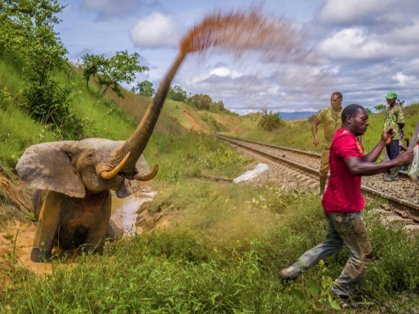 'Fight to death', la imagen ganadora del Premio de Fotografía Ambiental de la FPA2 en 2023.