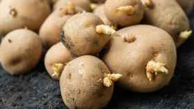 Estos son los efectos de comer patatas con brotes y raíces en la salud.