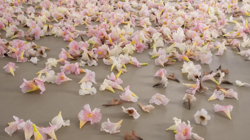 Allora & Calzadilla: 'Graft', 2021 (Galería Chantal Crousel)