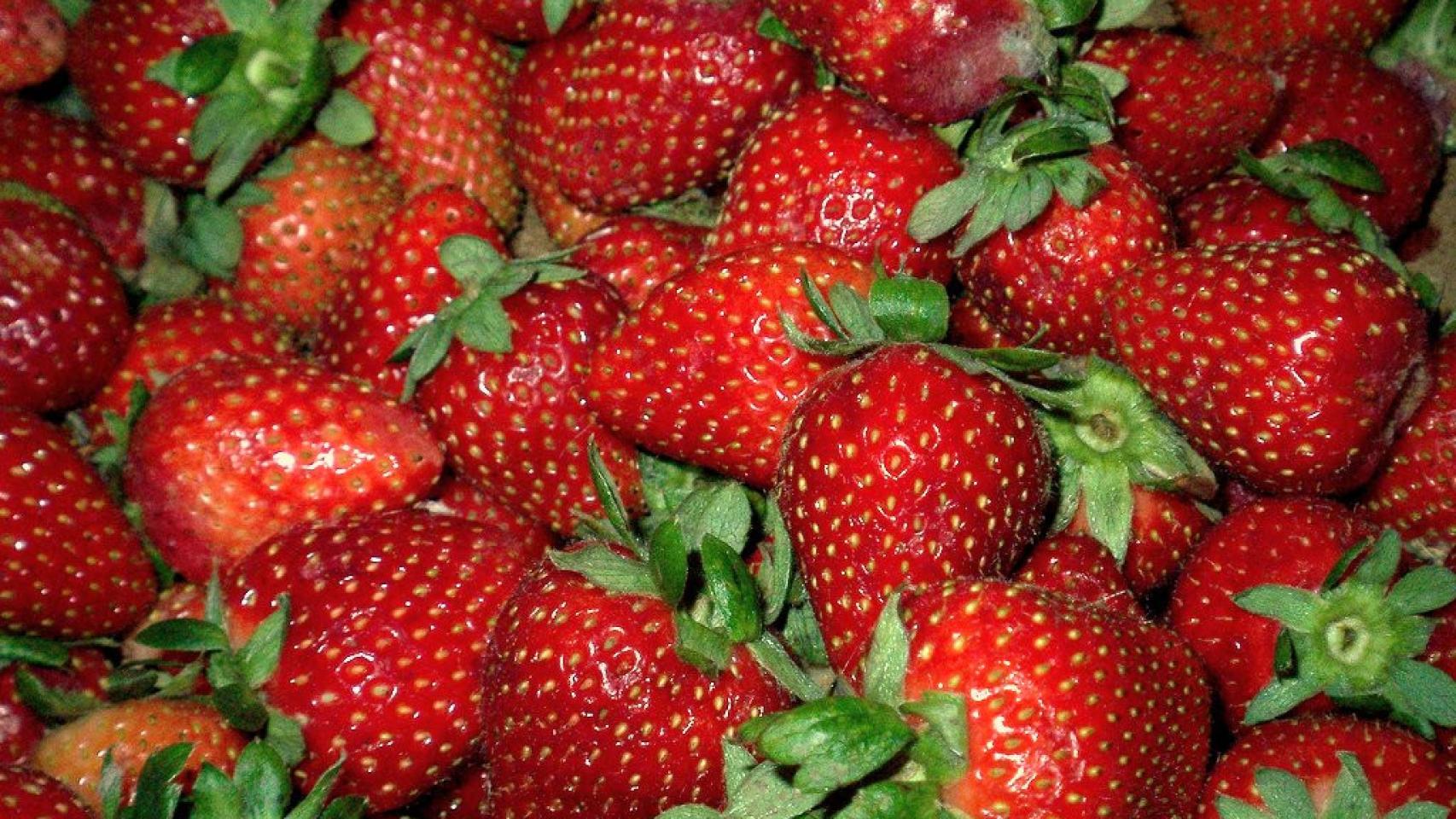 Fresas, imagen de archivo. EE