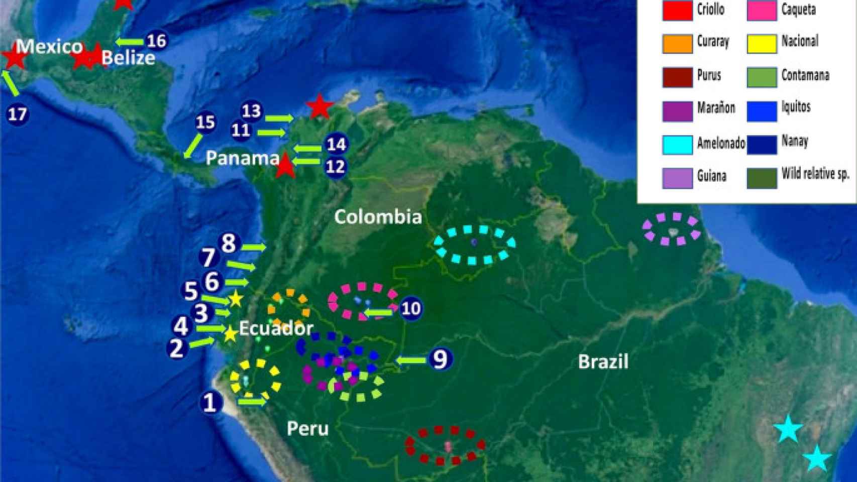 Mapa que señala las distintas cepas de cacao y las culturas cerámicas analizadas