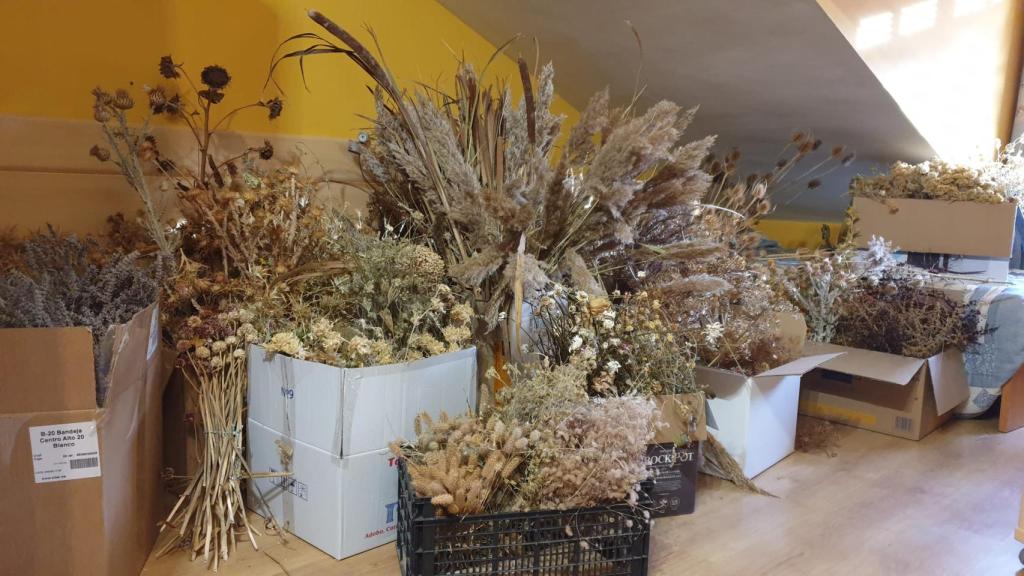 Flores recogidas por Mari Fe