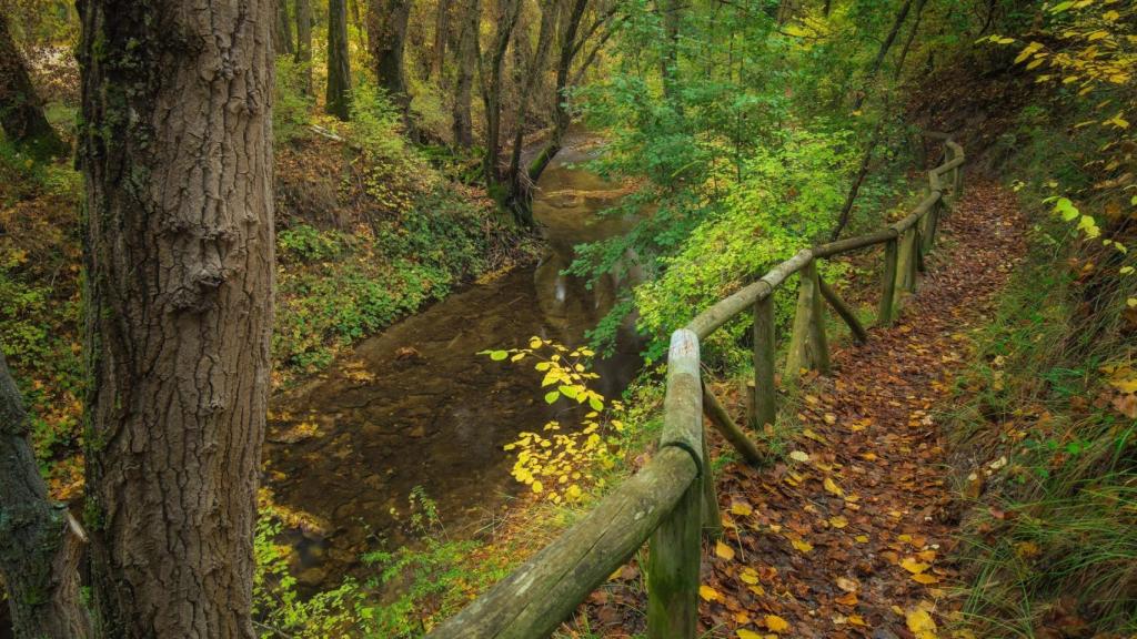 Uno de los caminos segovianos por los que discurre la Senda de los Pescadores