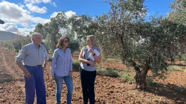 Blanca Corroto, en el centro, visitando un olivar.