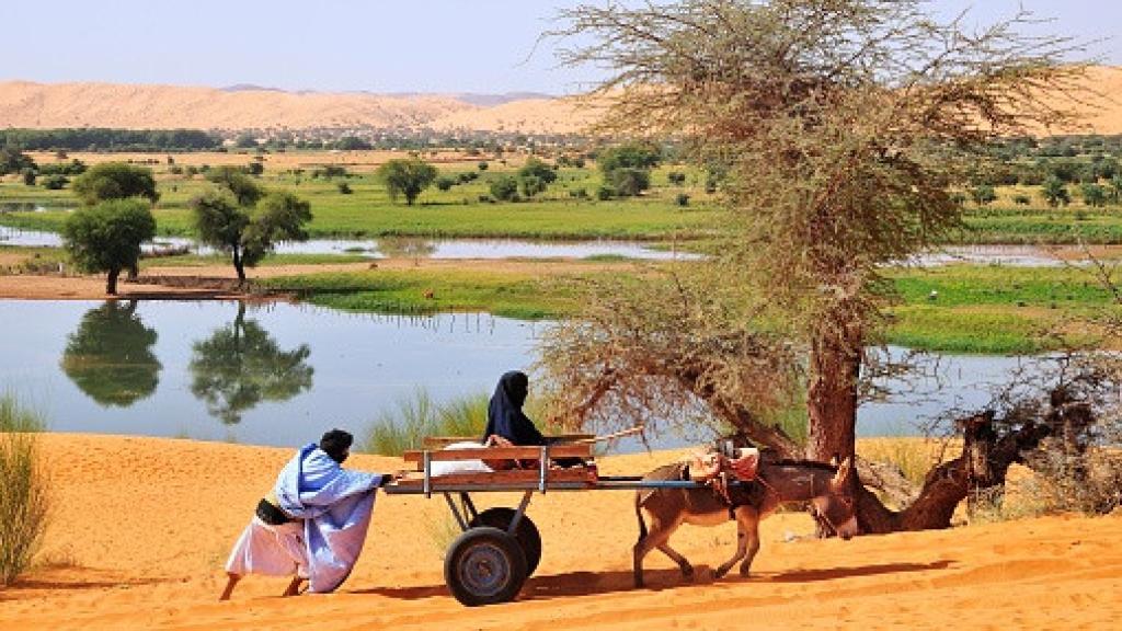 Una persona empuja un carro en la región de Tagant, Mauritania.