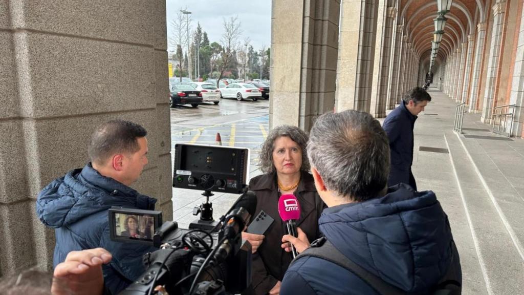 Mercedes Gómez, consejera de Desarrollo Sostenible.