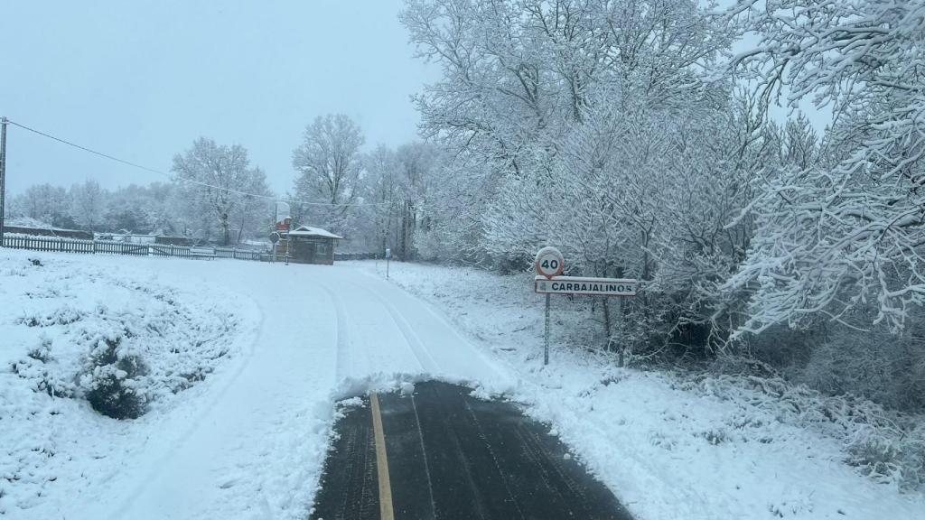 Acceso a Carbajalinos