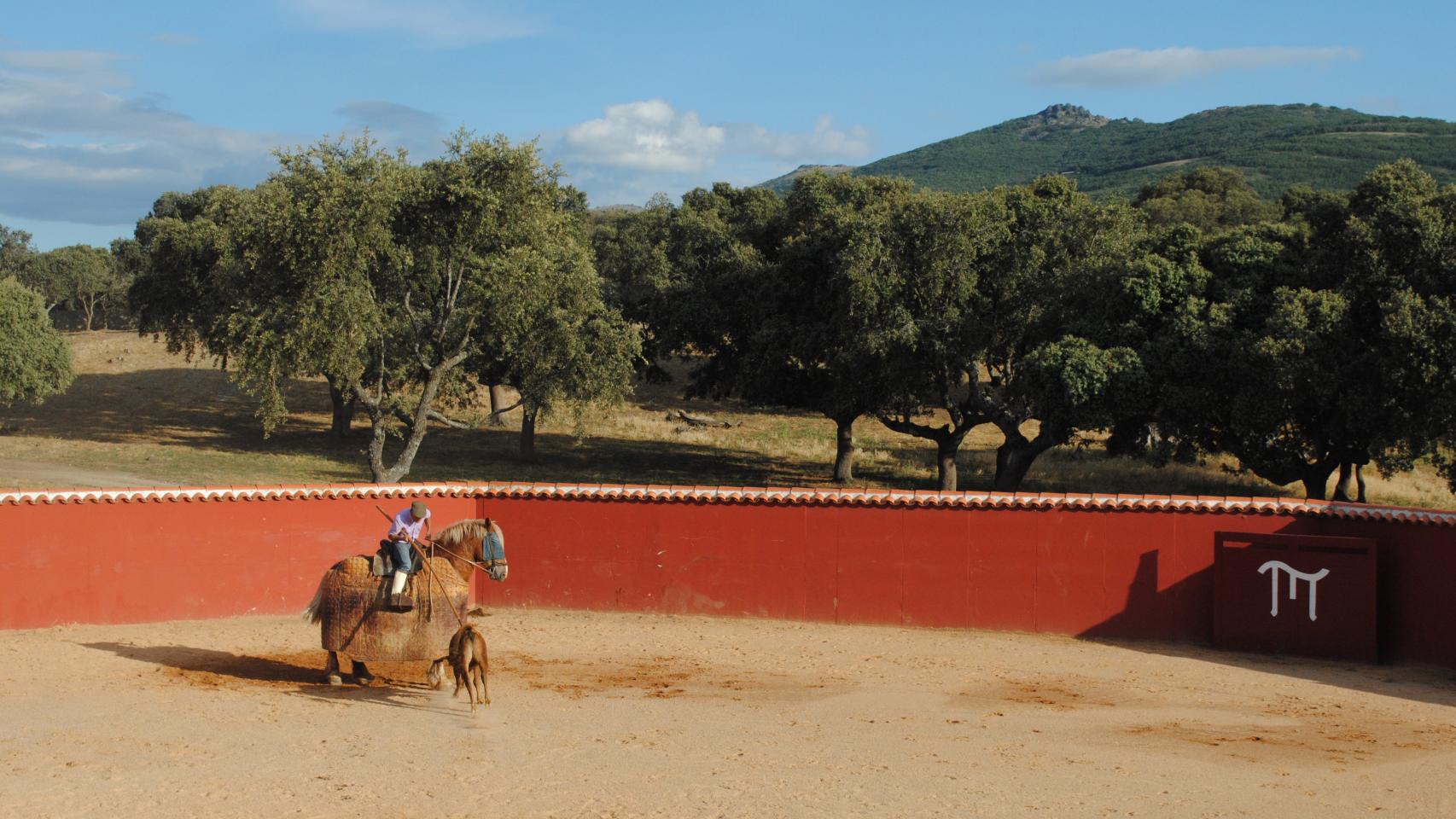 Tentadero en El Pilar