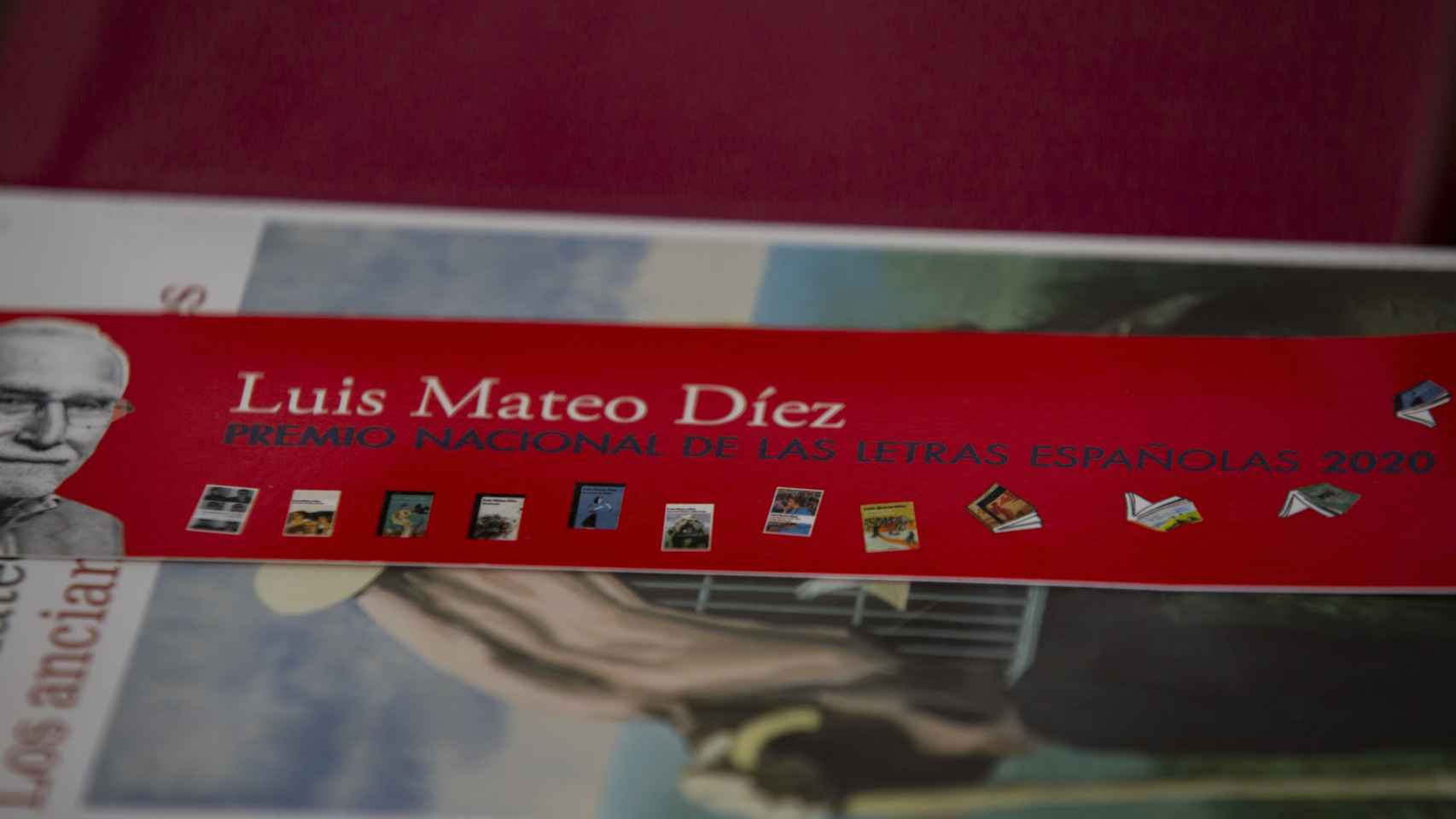 Los libros de Luis Mateo Díez.