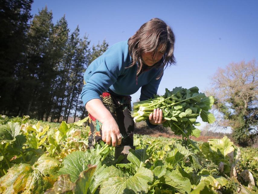 Una mujer trabajando en el campo. (EP/Carlos Castro)