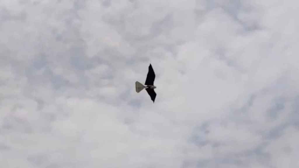 Vuelo del dron Small Falcon