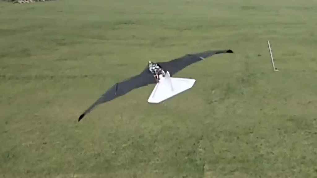El dron Small Falcon en vuelo