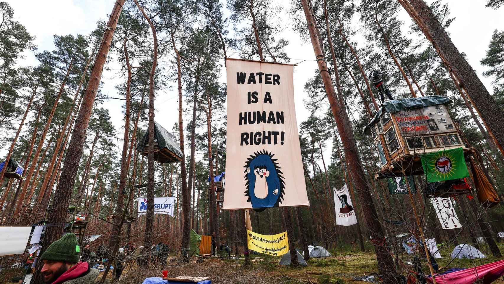 Activistas ecologistas ocupan el bosque en Grünheide como protesta por la expansión de la fábrica de Tesla