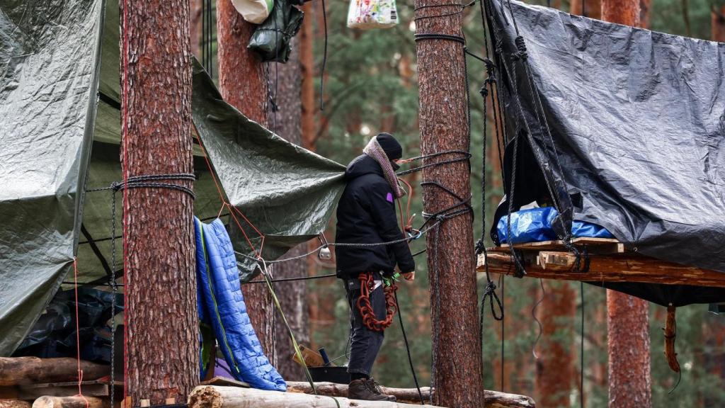 Activistas ecologistas ocupan el bosque de Grünheide para protestar contra la expansión de la fábrica de Tesla