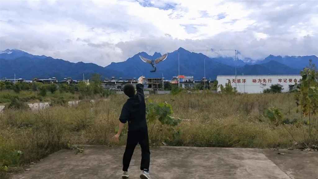 Lanzamiento de un dron que simula un ave